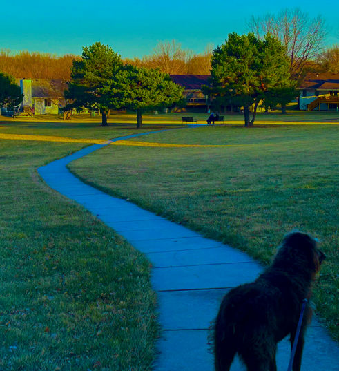 Homes in the Old Cheney Place neighborhood